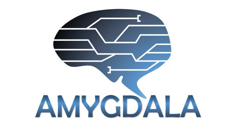 Full Amygdala picture